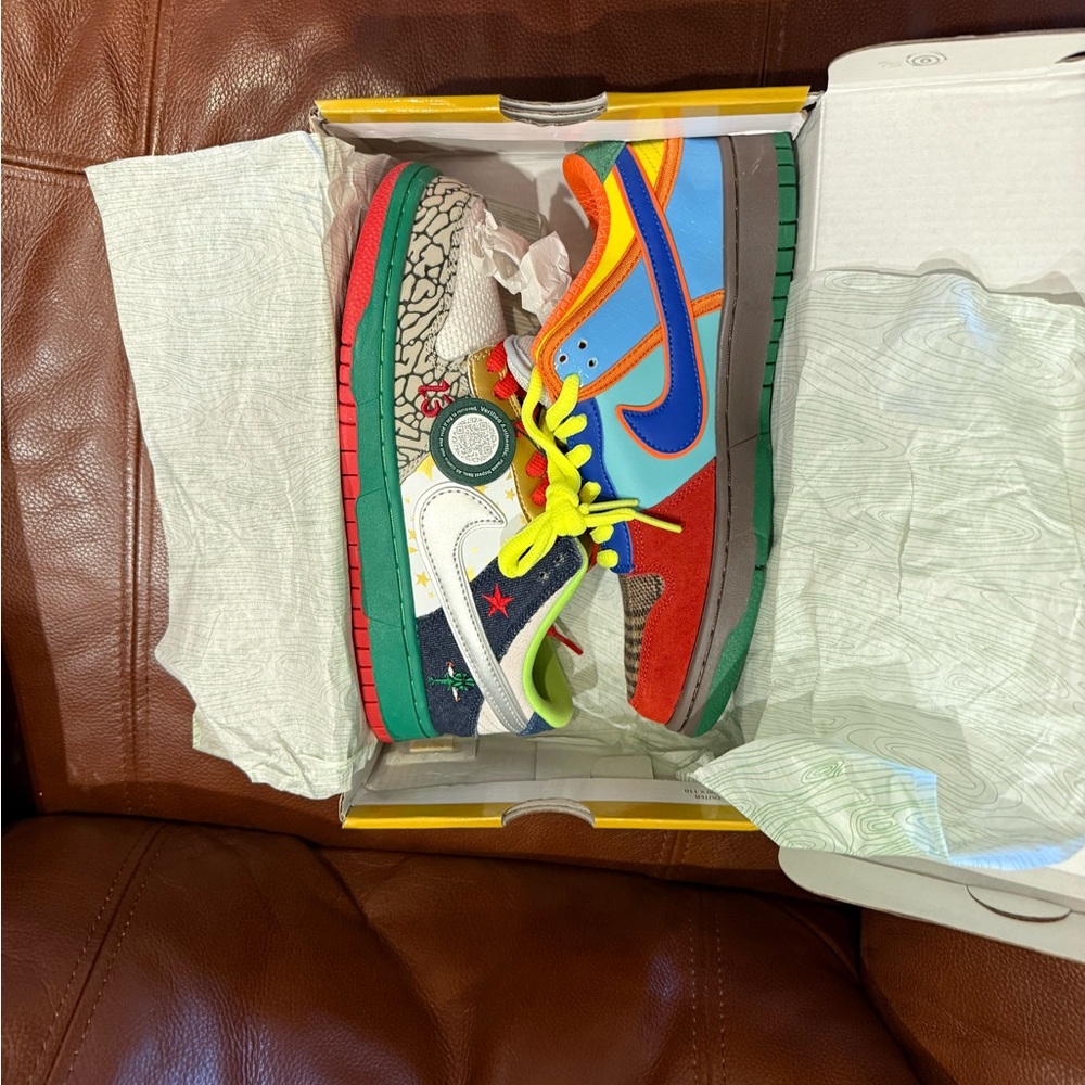 Nike SB What The Dunk Sneakers in Box